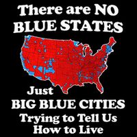 There Are No Blue States Only Big Blue Cities Visor