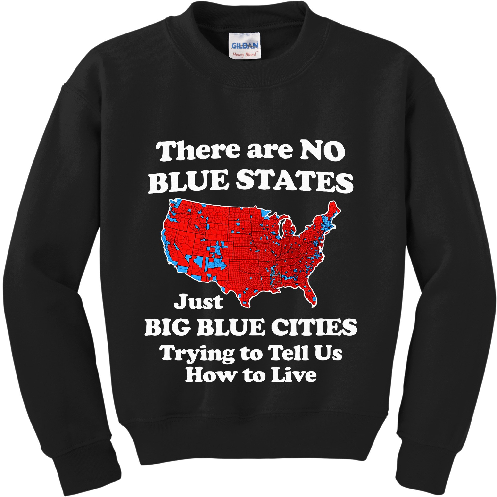 There Are No Blue States Only Big Blue Cities Kids Sweatshirt