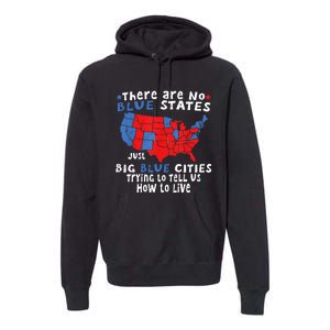 There Are No Blue States Only Big Blue Cities Premium Hoodie