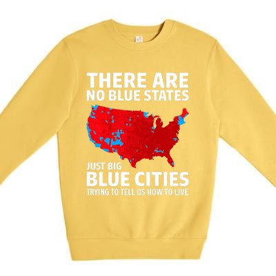 There Are No Blue States Only Big Blue Cities Premium Crewneck Sweatshirt