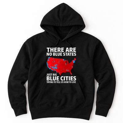 There Are No Blue States Only Big Blue Cities Hoodie