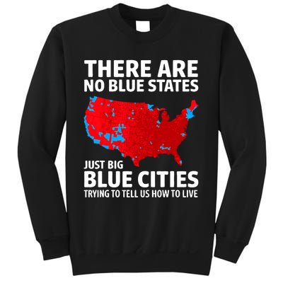 There Are No Blue States Only Big Blue Cities Sweatshirt