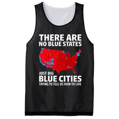 There Are No Blue States Only Big Blue Cities Mesh Reversible Basketball Jersey Tank