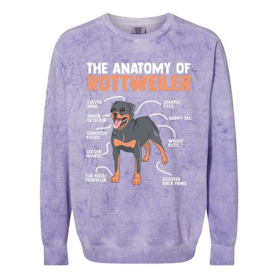 The Anatomy Of A Rottweiler For Any Rottweiler Lover Colorblast Crewneck Sweatshirt