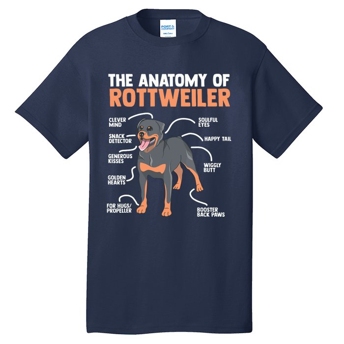 The Anatomy Of A Rottweiler For Any Rottweiler Lover Tall T-Shirt