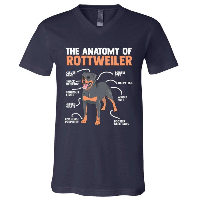 The Anatomy Of A Rottweiler For Any Rottweiler Lover V-Neck T-Shirt