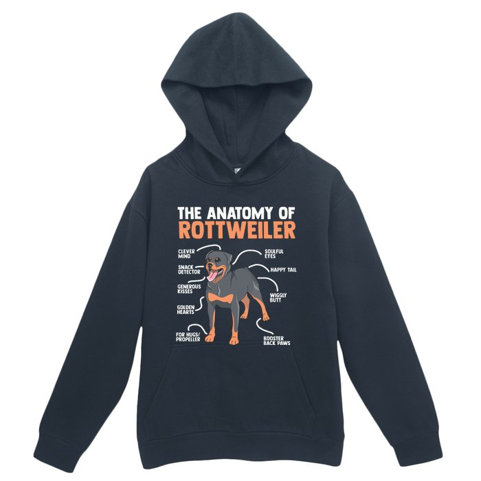 The Anatomy Of A Rottweiler For Any Rottweiler Lover Urban Pullover Hoodie