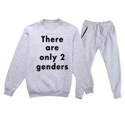 There Are Only 2 Genders Premium Crewneck Sweatsuit Set