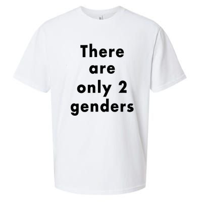 There Are Only 2 Genders Sueded Cloud Jersey T-Shirt