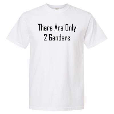 There Are Only 2 Genders Garment-Dyed Heavyweight T-Shirt