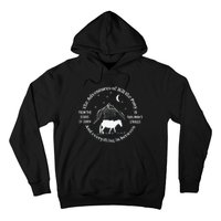 The Adventures Of Bill The Pony Funny Fantasy Novel Hoodie