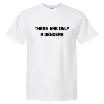 There Are Only 2 Genders Vintage Garment-Dyed Heavyweight T-Shirt