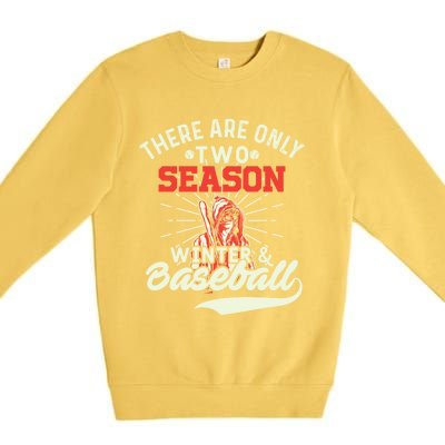 They Are Only 2 Seasons Winter And Baseball Meaningful Gift Baseball Player Cool Premium Crewneck Sweatshirt