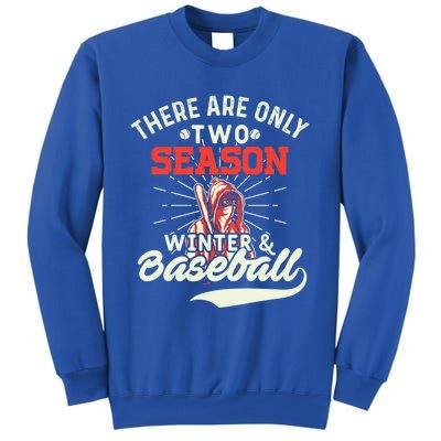 They Are Only 2 Seasons Winter And Baseball Meaningful Gift Baseball Player Cool Sweatshirt