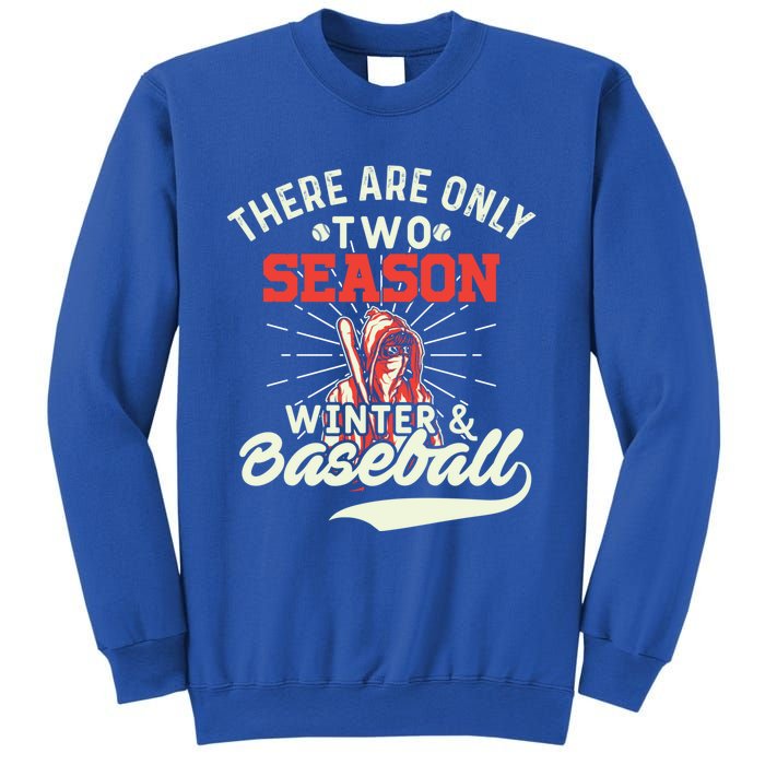 They Are Only 2 Seasons Winter And Baseball Meaningful Gift Baseball Player Cool Sweatshirt