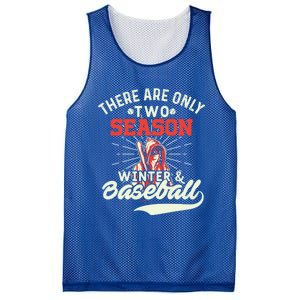 They Are Only 2 Seasons Winter And Baseball Meaningful Gift Baseball Player Cool Mesh Reversible Basketball Jersey Tank