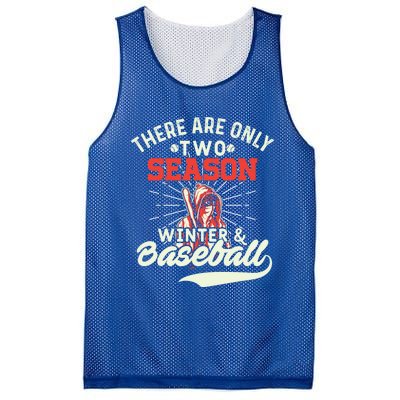 They Are Only 2 Seasons Winter And Baseball Meaningful Gift Baseball Player Cool Mesh Reversible Basketball Jersey Tank