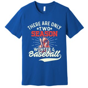 They Are Only 2 Seasons Winter And Baseball Meaningful Gift Baseball Player Cool Premium T-Shirt