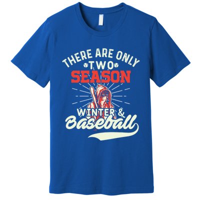 They Are Only 2 Seasons Winter And Baseball Meaningful Gift Baseball Player Cool Premium T-Shirt