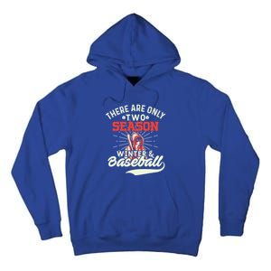 They Are Only 2 Seasons Winter And Baseball Meaningful Gift Baseball Player Cool Tall Hoodie