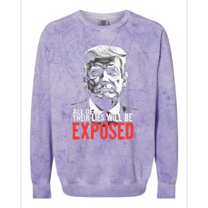 Trump All Of Their Lies Will Be Exposed Take America 2024 Colorblast Crewneck Sweatshirt