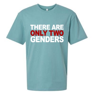 There Are Only Two Genders Sueded Cloud Jersey T-Shirt