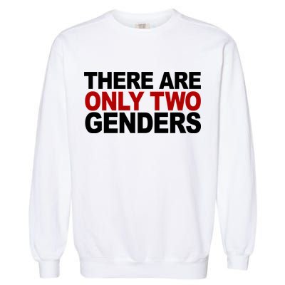 There Are Only Two Genders Garment-Dyed Sweatshirt