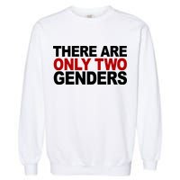 There Are Only Two Genders Garment-Dyed Sweatshirt