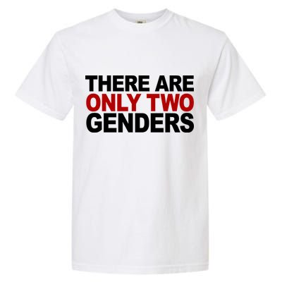 There Are Only Two Genders Garment-Dyed Heavyweight T-Shirt