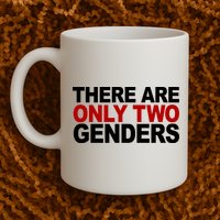 There Are Only Two Genders Mug