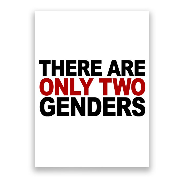 There Are Only Two Genders Poster