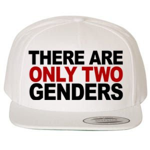 There Are Only Two Genders Wool Snapback Cap