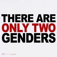 There Are Only Two Genders Kids T-Shirt