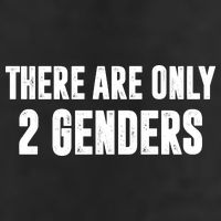 There Are Only 2 Genders Garment-Dyed Fleece Hoodie