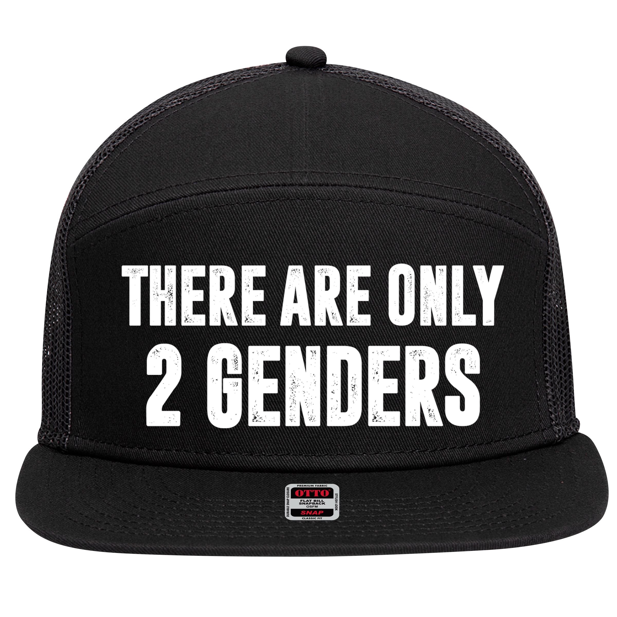 There Are Only 2 Genders 7 Panel Mesh Trucker Snapback Hat