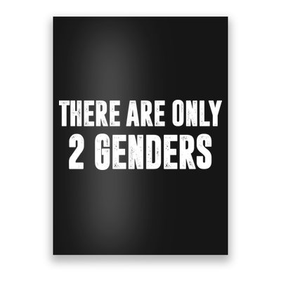 There Are Only 2 Genders Poster