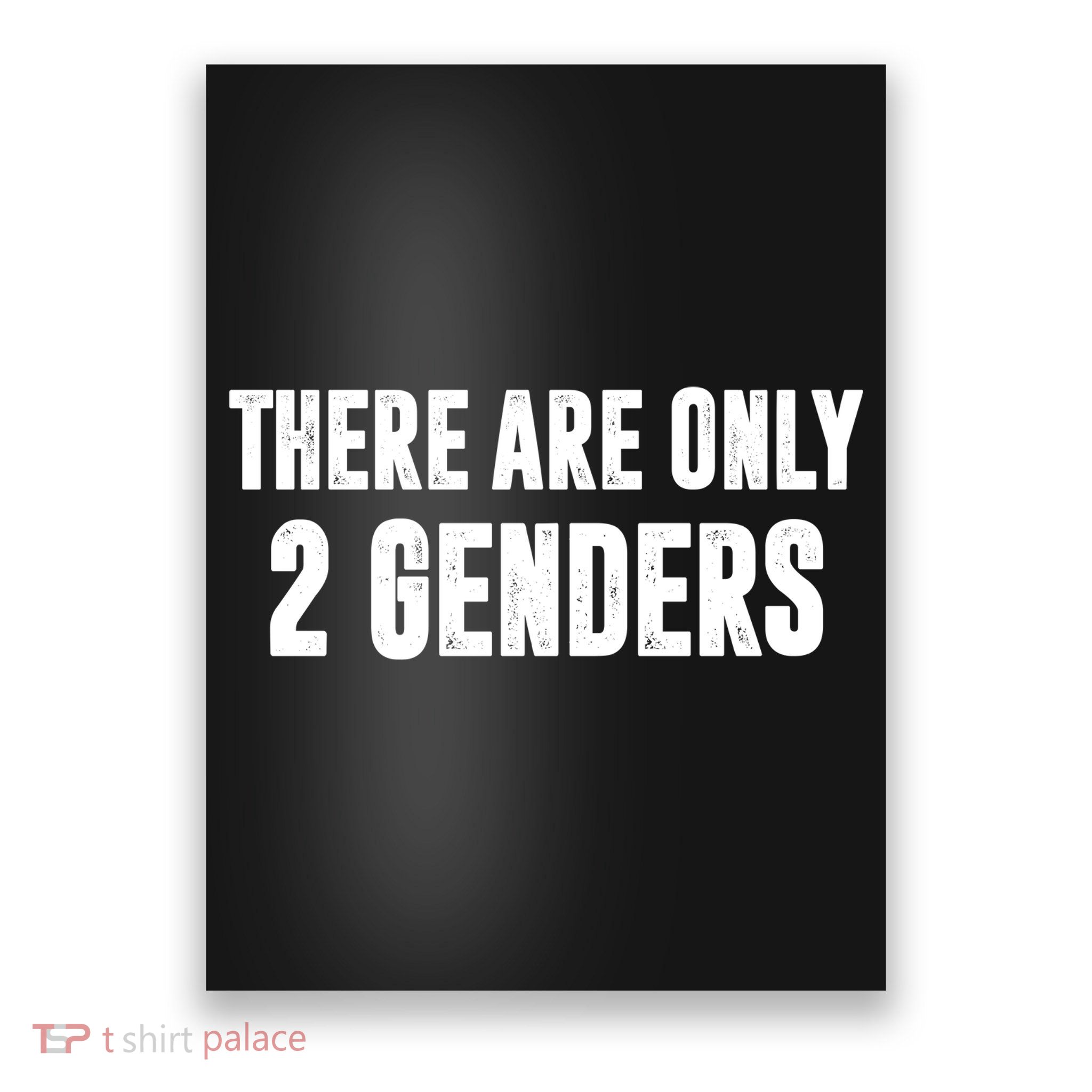 There Are Only 2 Genders Poster
