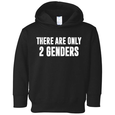 There Are Only 2 Genders Toddler Hoodie