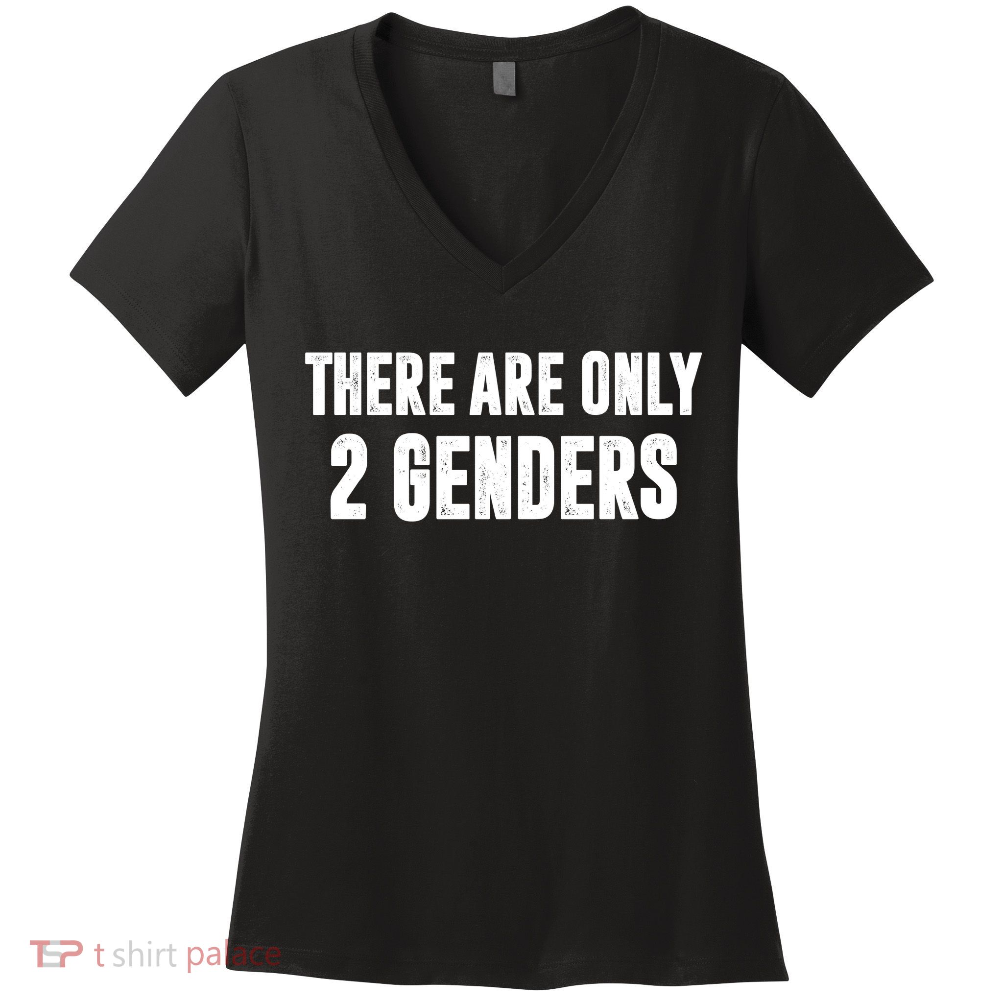There Are Only 2 Genders Women's V-Neck T-Shirt