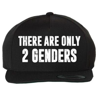 There Are Only 2 Genders Wool Snapback Cap