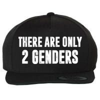 There Are Only 2 Genders Wool Snapback Cap