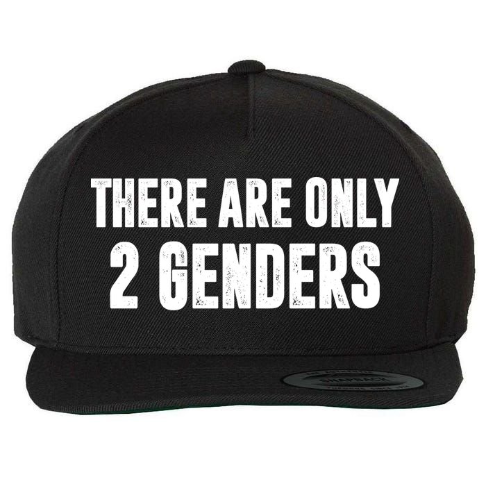 There Are Only 2 Genders Wool Snapback Cap