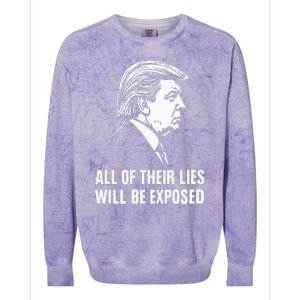 Trump All Of Their Lies Will Be Exposed Take America 2024 Colorblast Crewneck Sweatshirt