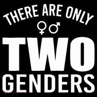 There Are Only Two Genders Gender Sweatshirt