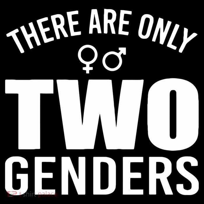 There Are Only Two Genders Gender T-Shirt