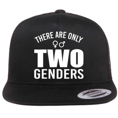 There Are Only Two Genders Gender Flatbill Hat