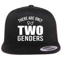 There Are Only Two Genders Gender Flat Bill Trucker Hat