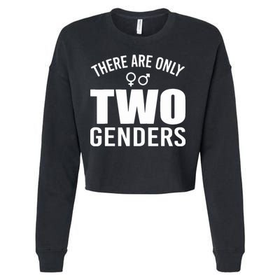 There Are Only Two Genders Gender Cropped Pullover Crew
