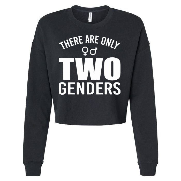 There Are Only Two Genders Gender Cropped Pullover Crew