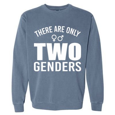 There Are Only Two Genders Gender Garment-Dyed Sweatshirt